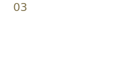 W3